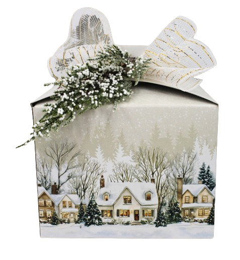 Christmas Village Box