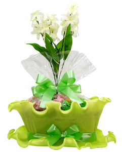 Panier de fleurs verte